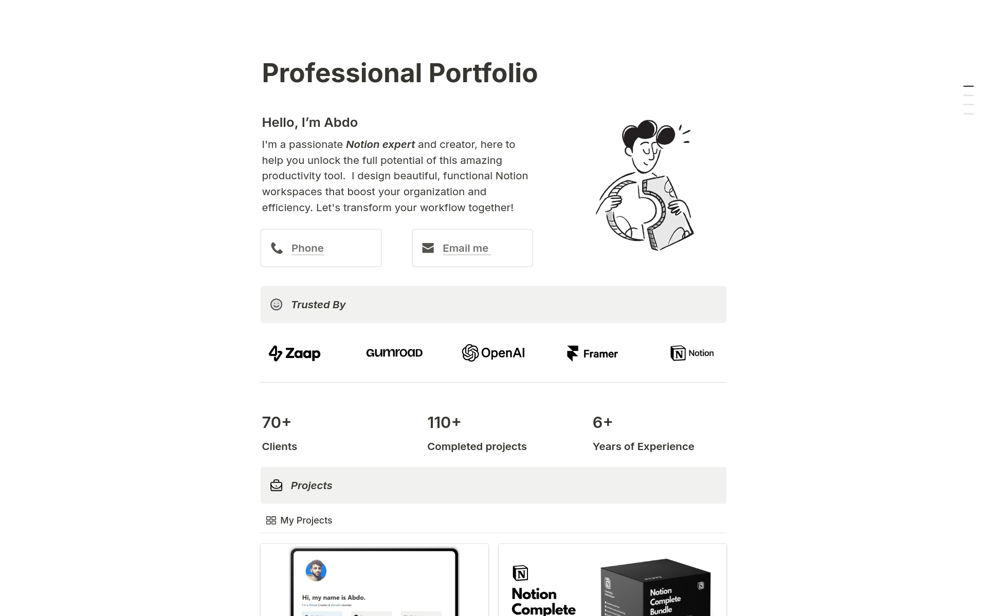 A template preview for Professional Portfolio